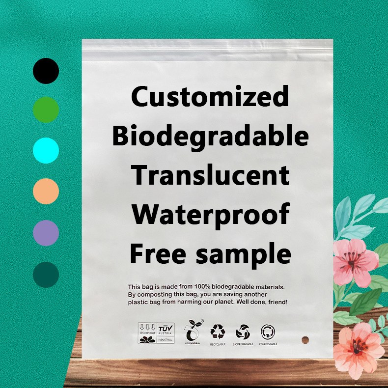 Zeal X bringt leistungsstarke, biologisch abbaubare PLA PBAT-Beutel für nachhaltige Verpackungslösungen weltweit auf den Markt